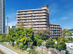 トーア南晴海マンション(301)の物件外観写真